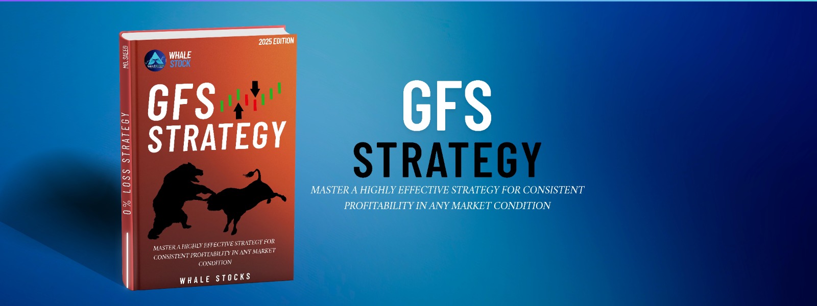 GFS STRATEGY